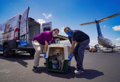Lawrence Nicolas and another person wearing a mask holding a carrier containing a dog beside a van and airplane