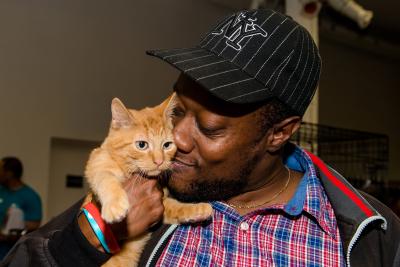 Person snuggling an orange kitten