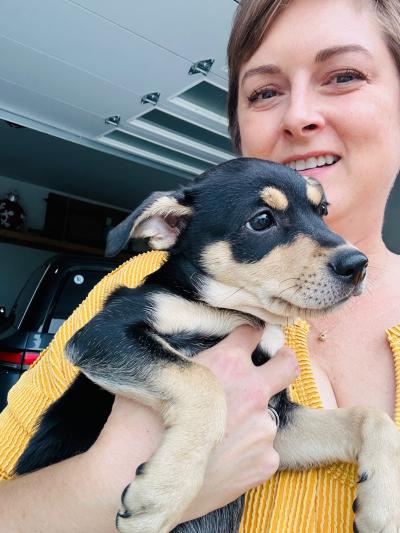 Person holding a puppy