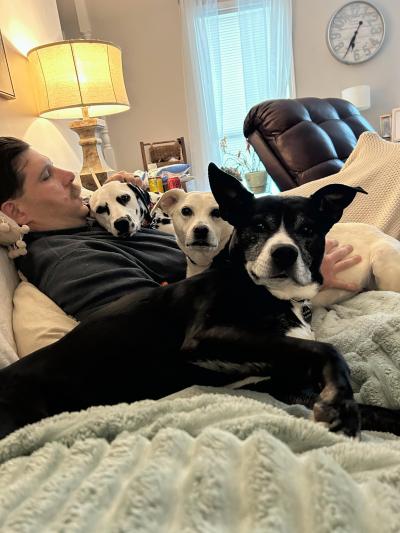 Zoe's husband in bed with the three dogs, including Cooper