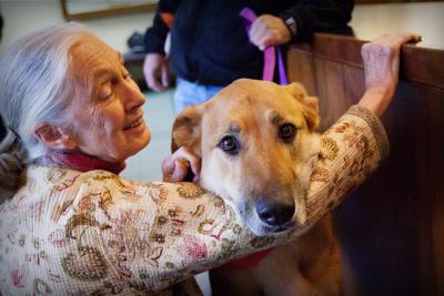 Jane Goodall smiling and petting a brown dog whose head is over her arm