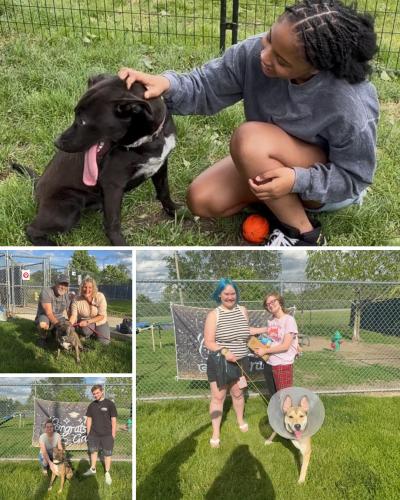 Collage of adoption photos with dogs and people from Indianapolis Animal Care Services