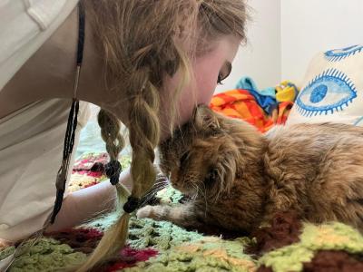 Person kissing the top of Indy the cat's head