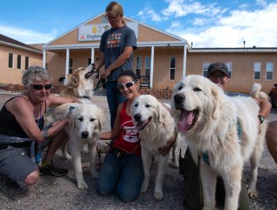 Bear, Bashful, Blossom and Felix the dog with people in front of Dogtown Headquarters