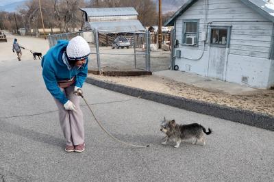 Person walking a small dog on a leash outside