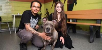 Man and woman squatting with gray pit bull dog with tan bench to the right