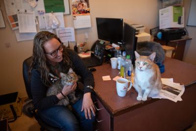 Pumpkin and Ironhide the cats with a person at her desk