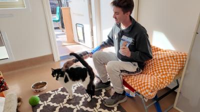 Person working with Starling the cat and Handy Hank