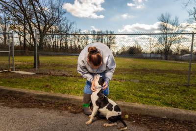 Staff person from Jeffersonville Animal Shelter outside petting a dog