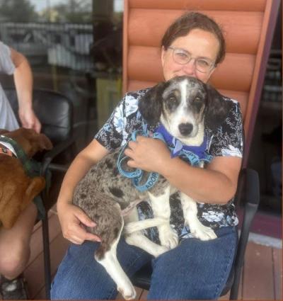 Person sitting on a chair holding a puppy in their lap