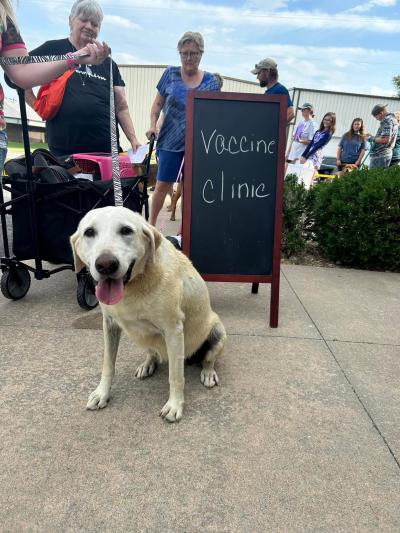 Person with a dog on a leash next to a sign that says, 'vaccine clinic'