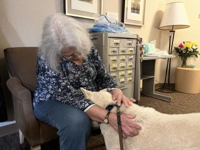 Jovie the dog comforting a person doing her therapy work