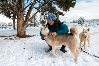 Person outside in the snow petting Hilo the dog while Crocodile the dog watches