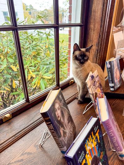 Chica the cat at the Kennebunk Free Library