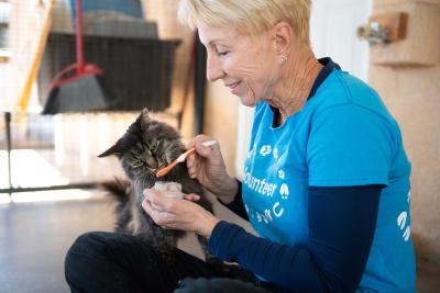 Volunteer Kim feeding Grog the cat some baby food on a tiny spoon