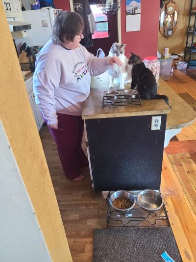 Kerrie interacting with both Eeyore and Murphy on a countertop