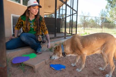 Kiyo holding a spoon containing a treat that Prairie Dawn the dog is eating