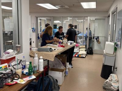 People performing spay/neuter surgeries