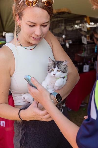 Person cradling a tabby and white kitten in her arm while looking at a call phone held by another person