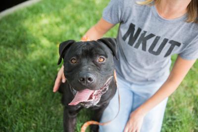 Person wearing a NKUT T-shirt with her arm around a happy dog whose tongue is out