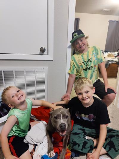 Lilly the foster dog with the Brooks kids