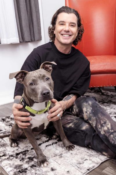 Gavin Rossdale smiling and sitting on the floor with a large gray and white dog