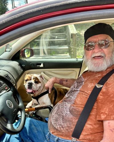 Linus the English bulldog in the passenger seat of a vehicle with a person in the driver's seat