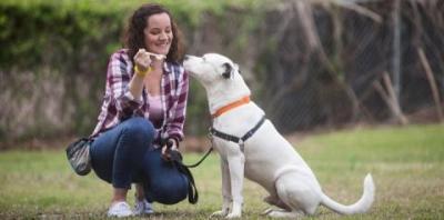 Woman kneeling next to white dog in field