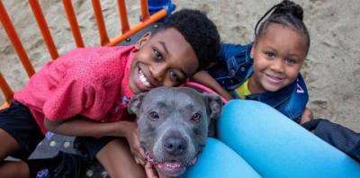 Boy in red shirt hugging gray pit bull type dog with girl in blue shirt to the right