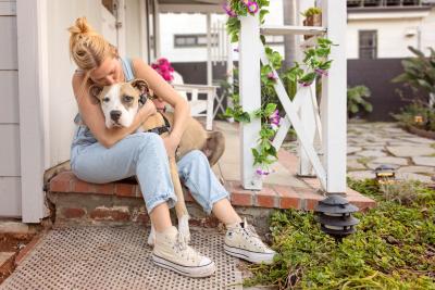 Brown and white dog giving love and comfort to an owner, who is hugging him