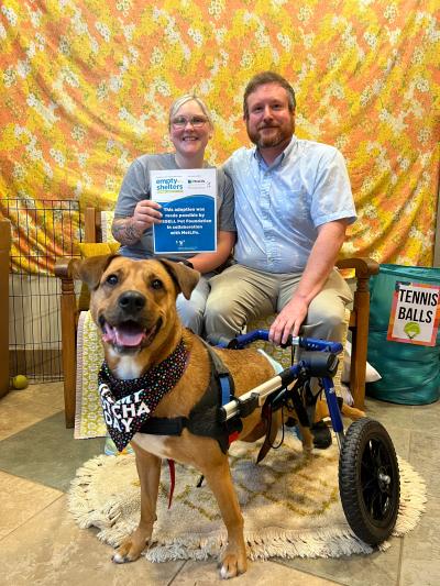Ward the dog standing in a wheelchair in front of two people who are adopting him