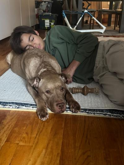 Person lying on the floor giving Macchiato the dog a hug