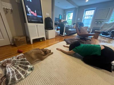 Macchiato the dog joining a person in doing yoga
