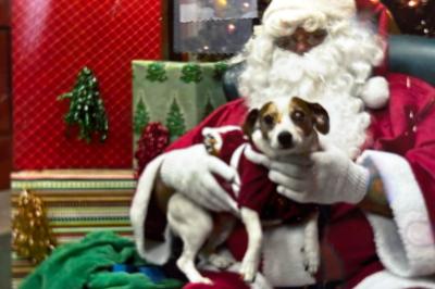 Maggie the dog on Santa's lap