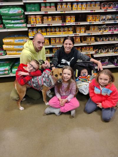 Libby the dog with her new family