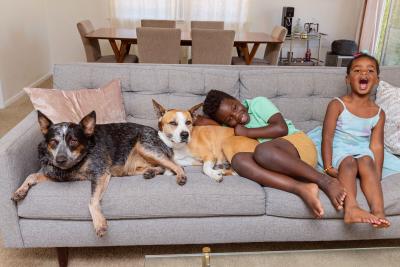 Two children snuggling on a couch with two dogs