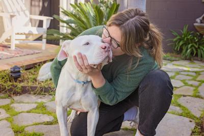 Person kissing the face of a large white dog