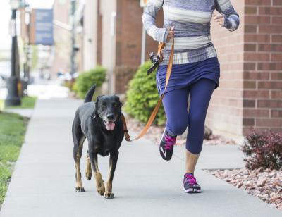 Person jogging with a dog on a leash