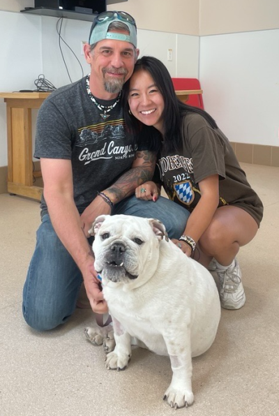 Rush the English bulldog with his new family