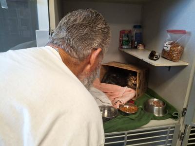 Mike looking into Buster the cat's kennel