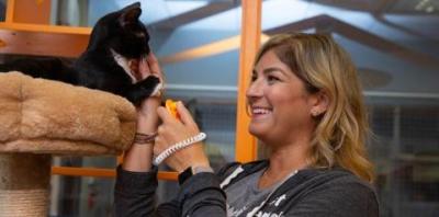 Women in dark gray sweatshirt petting black and white cat on cat tree