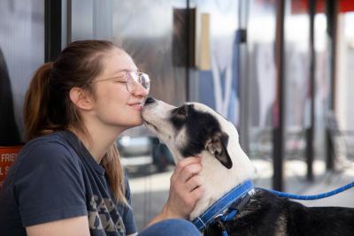 Dog kissing the face of a person