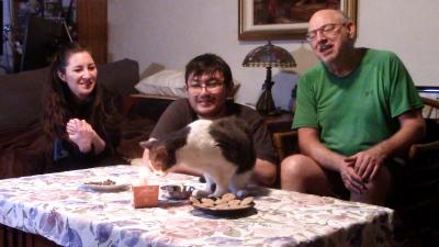 Misty the cat celebrating her birthday looking at her cake with her new family