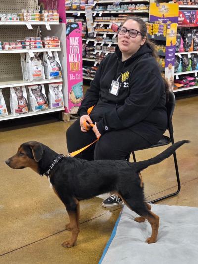 Person sitting in a chair at PetSmart with a dog on a leash