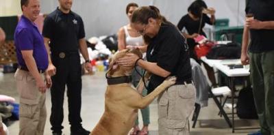 Animal Control Officer giving affection to a brown dog jumping up on her