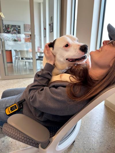 Mr. Darcy the dog snuggling with a person in a chair
