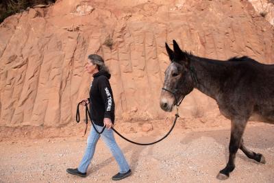 Side view of person and Willow the mule walking with a red cliff behind them