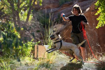 A very happy Raquel the dog while outside on a hike with a person