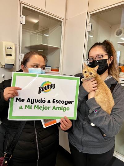 Pair of people holding an orange tabby cat and sign (in Spanish) at National Adoption Weekend