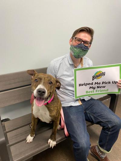 Person holding a sign and sitting on a bench with a smiling dog at the National Adoption Weekend